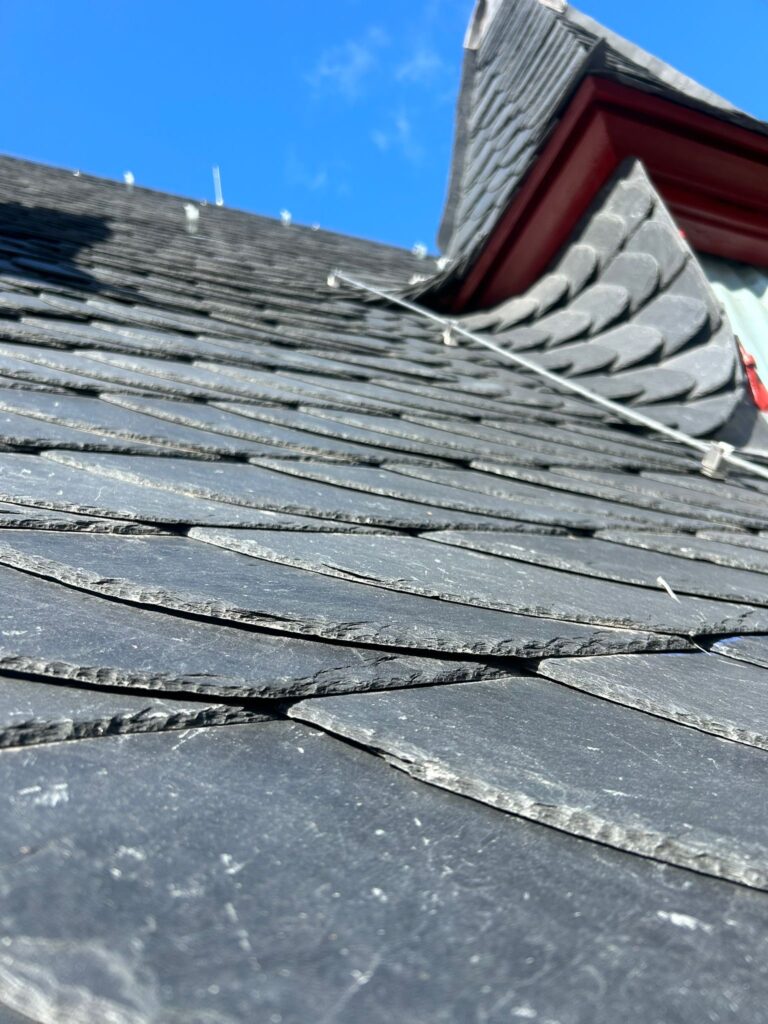 f5ce14c3 1f45 43d0 bd15 ad23bad56ce4